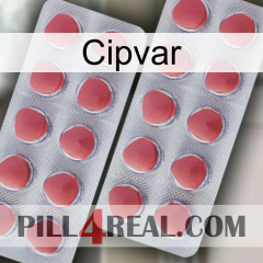 Cipvar 19